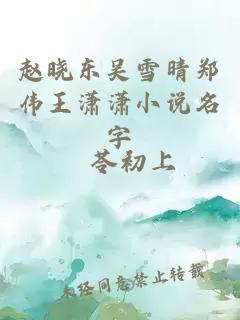 赵晓东吴雪晴郑伟王潇潇小说名字