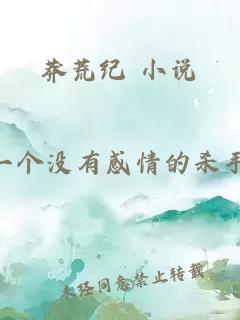 莽荒纪 小说