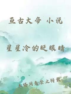 亘古大帝 小说