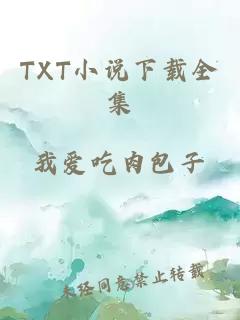 TXT小说下载全集