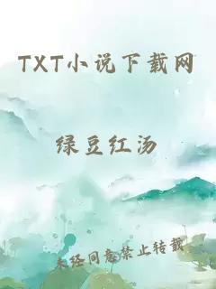 TXT小说下载网