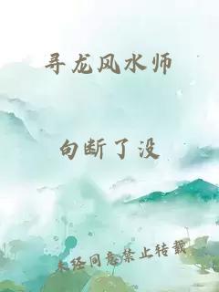 寻龙风水师