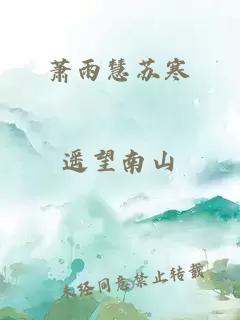 萧雨慧苏寒