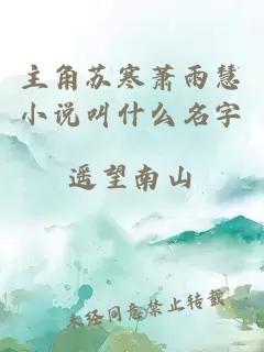 主角苏寒萧雨慧小说叫什么名字