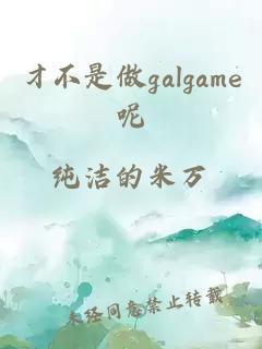 才不是做galgame呢