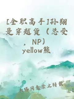 [全职高手]孙翔是穿越货（总受，NP）