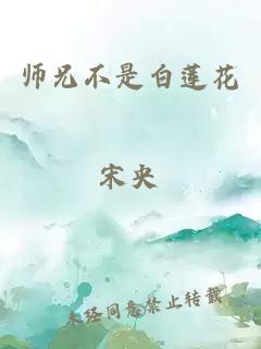 师兄不是白莲花