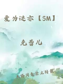 爱为谜亦【SM】