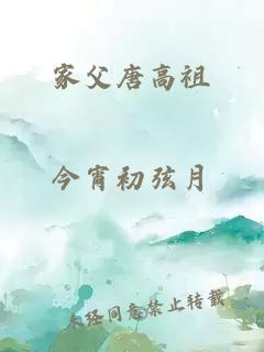 家父唐高祖