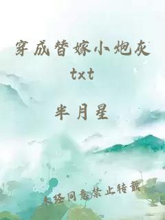 穿成替嫁小炮灰txt