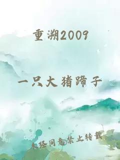 重溯2009