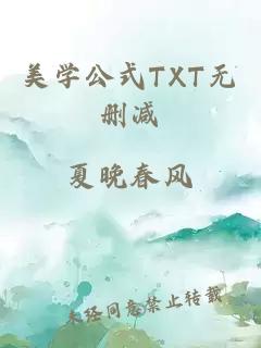 美学公式TXT无删减