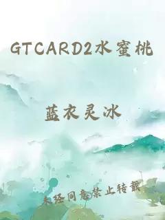 GTCARD2水蜜桃