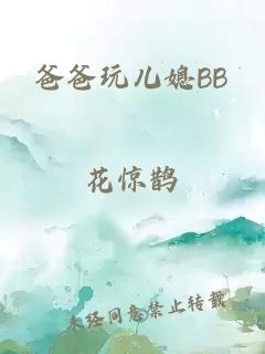 爸爸玩儿媳BB