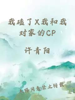 我磕了X我和我对家的CP