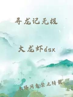 寻龙记无极