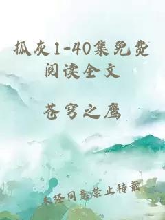 抓灰1-40集免费阅读全文