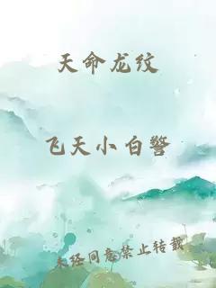 天命龙纹