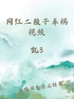 网红二赖子车祸视频