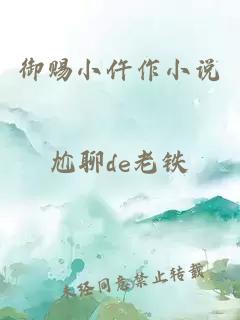 御赐小仵作小说