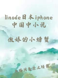 linode日本iphone中国中小说