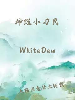 神级小刁民