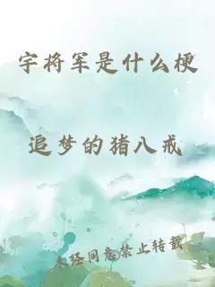 宇将军是什么梗