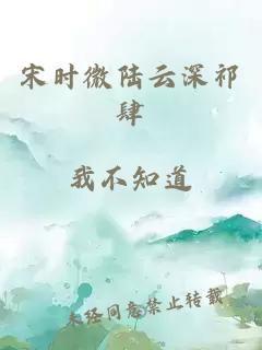 宋时微陆云深祁肆