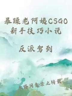 暴躁老阿姨CSGO新手技巧小说