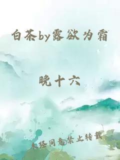 白茶by露欲为霜