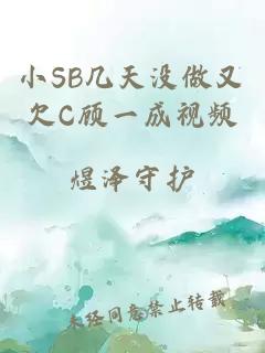 小SB几天没做又欠C顾一成视频