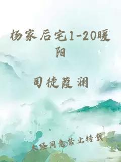 杨家后宅1-20暖阳