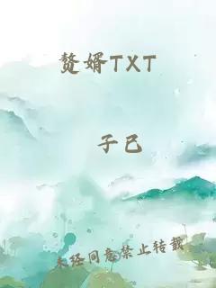 赘婿TXT