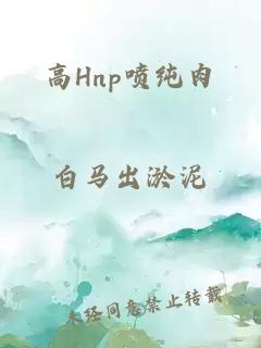 高Hnp喷纯肉