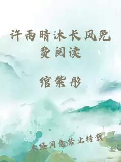 许雨晴沐长风免费阅读