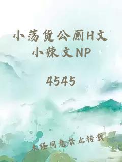 小荡货公厕H文小辣文NP