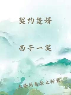 契约赘婿