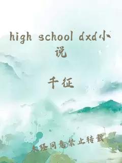 high school dxd小说