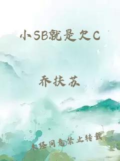 小SB就是欠C