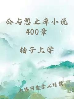 公与憩止痒小说400章