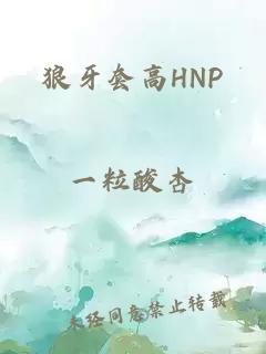 狼牙套高HNP