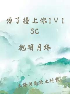 为了撞上你1∨1SC