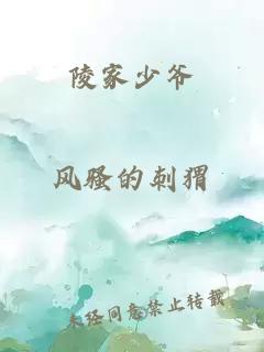 陵家少爷