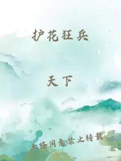 护花狂兵