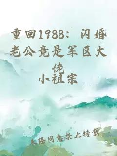 重回1988：闪婚老公竟是军区大佬