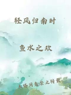 轻风归南时